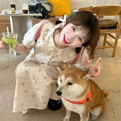 爱情私教
